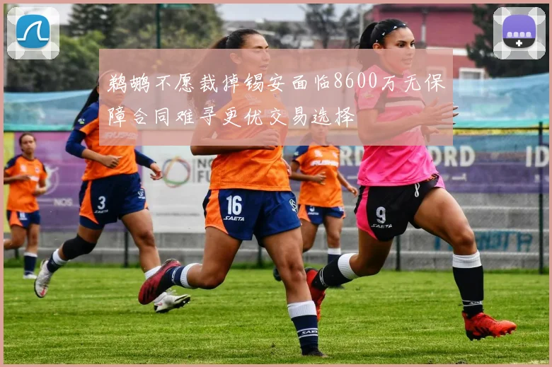 鹈鹕不愿裁掉锡安面临8600万无保障合同难寻更优交易选择