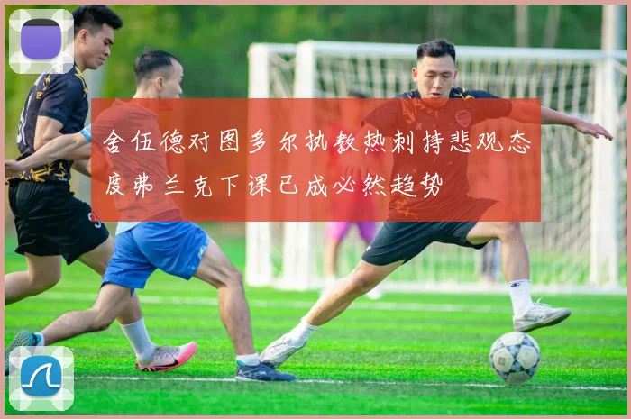 舍伍德对图多尔执教热刺持悲观态度弗兰克下课已成必然趋势