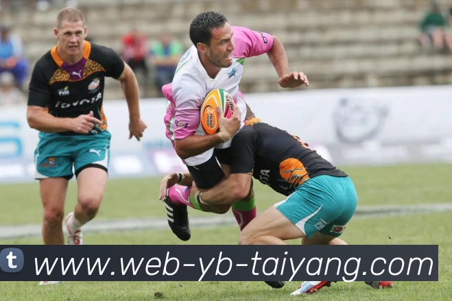 App Interface Preview