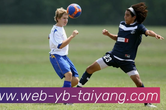 太阳城APP 封面图